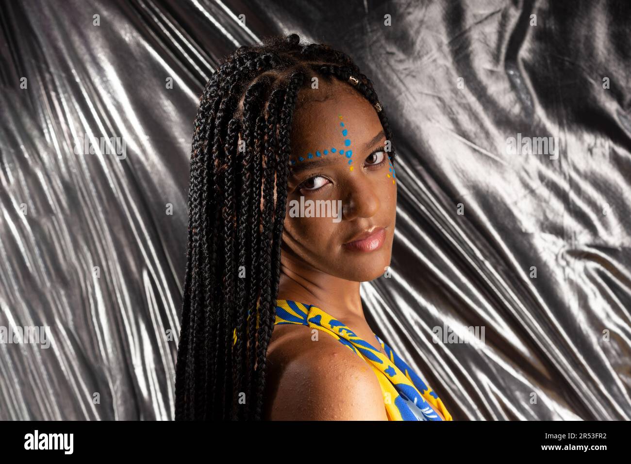 Portrait of a beautiful black woman with long braids in her hair and ...