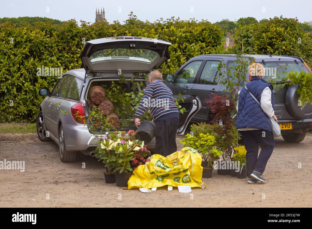 Man loading car up with lots of plants after going to plant fair
