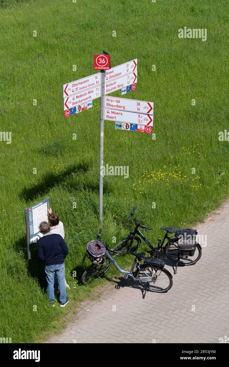 Rhine meadows near Duisburg-Beeckerwerth, footpath, cycle path on the ...