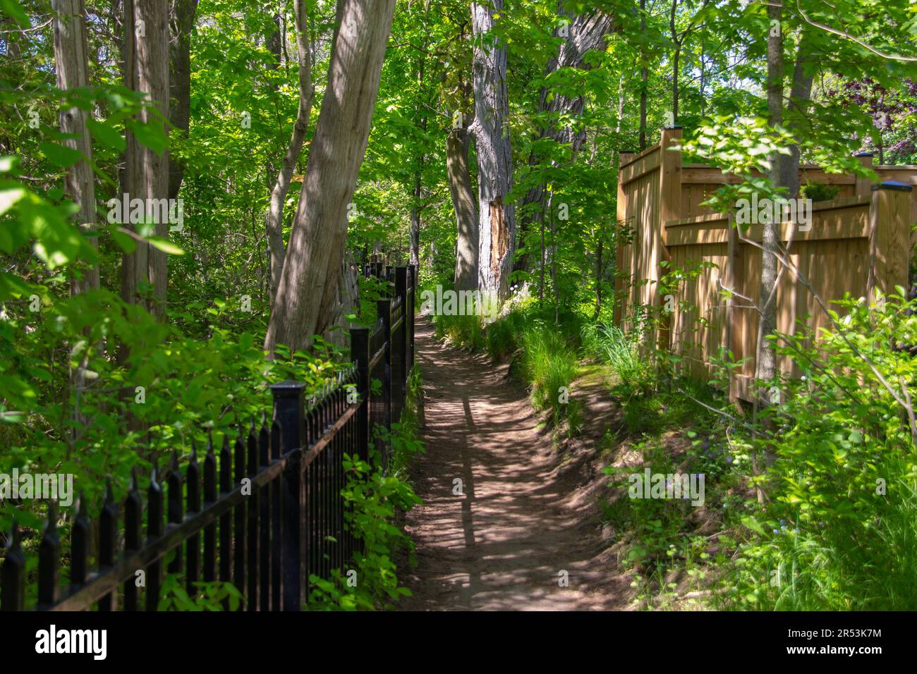 Nature trail in a park overlooking the Elora Gorge Stock Photo