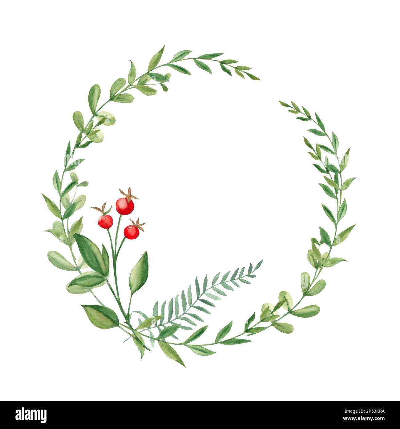 Watercolor wreath with green branches and red berries. Hand painted ...