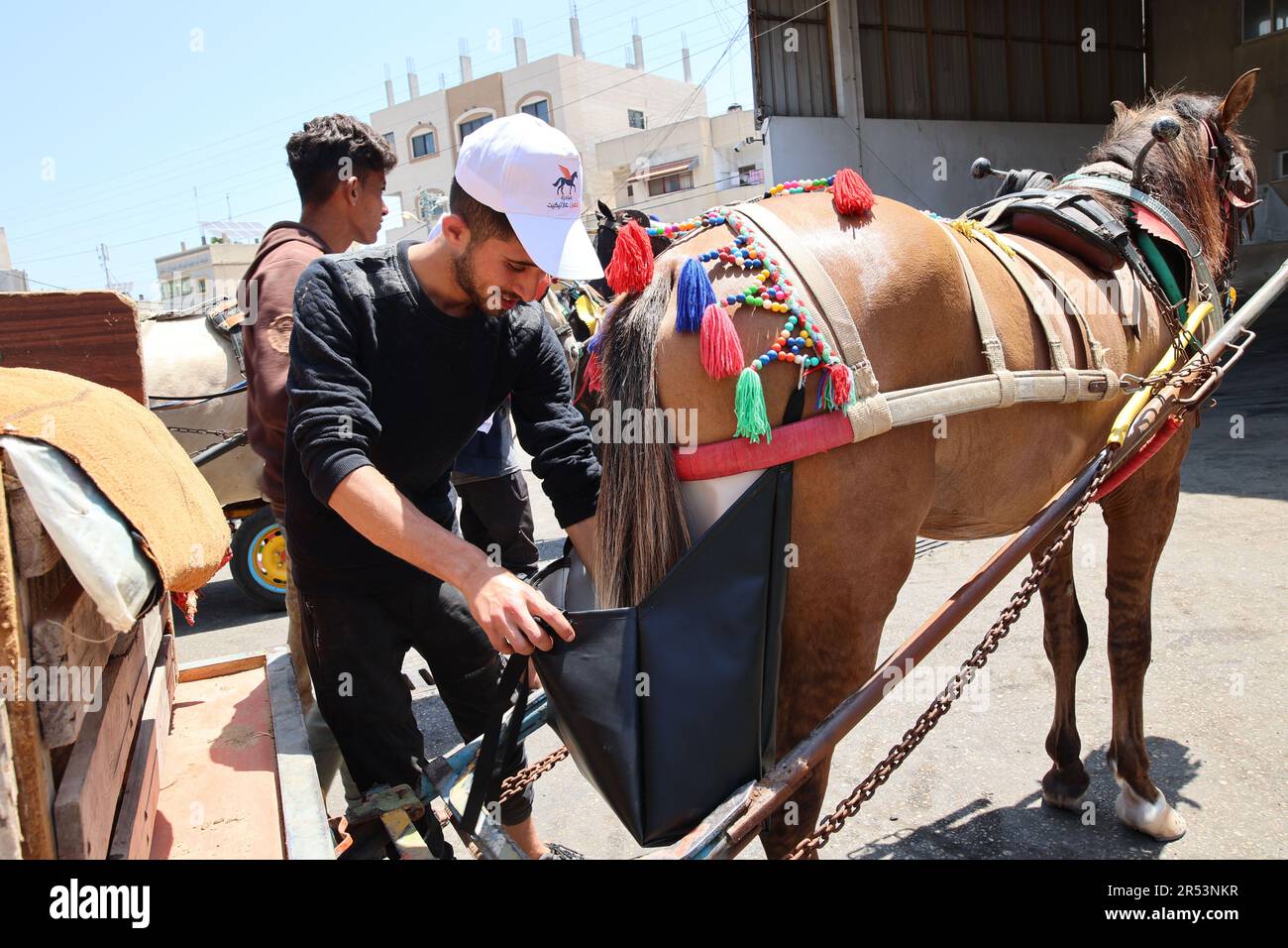 A Palestinian activist puts diapers for horse as he conduct the initiative of "Horse Etiquette" in Deir al-Balah City central Gaza Strip. Palestinian activists are implementing an initiative called "A Horse on Etiquette". They put diapers for animals, which are implemented by the Seeds Theater Association for Culture and Arts, funded by the Abdul Mohsen Qattan Cultural Foundation, which targets animals that pull carts in order to reduce street pollution due to the excrement of these animals to preserve the environment in Deir al-Balah City central Gaza Strip. (Photo by Ahmed Zakot/SOPA Image Stock Photo
