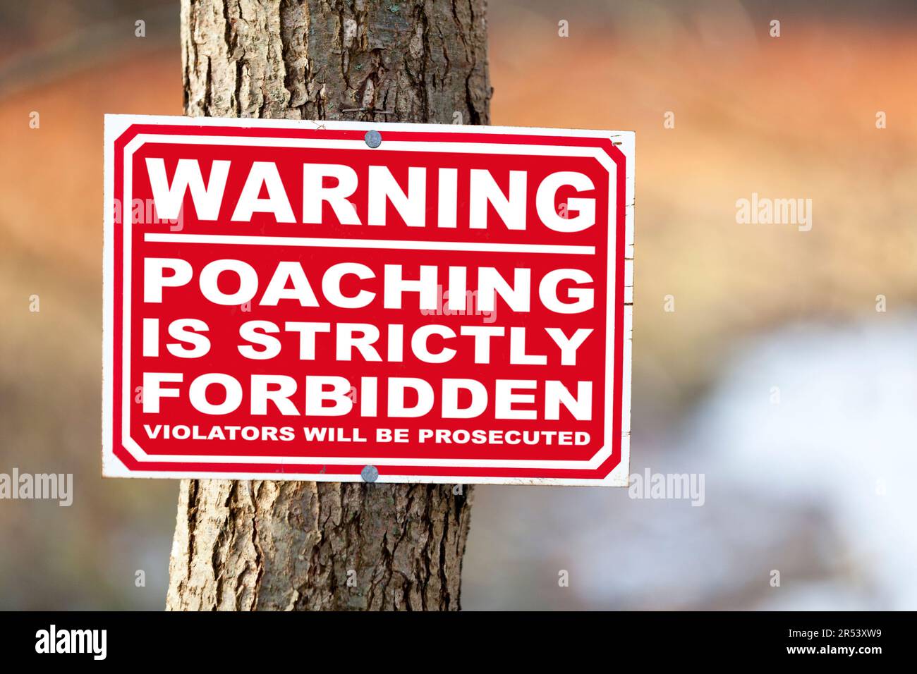 Sign nailed to a tree trunk saying 'Warning, poaching is strictly forbidden, violators will be prosecuted'. Stock Photo