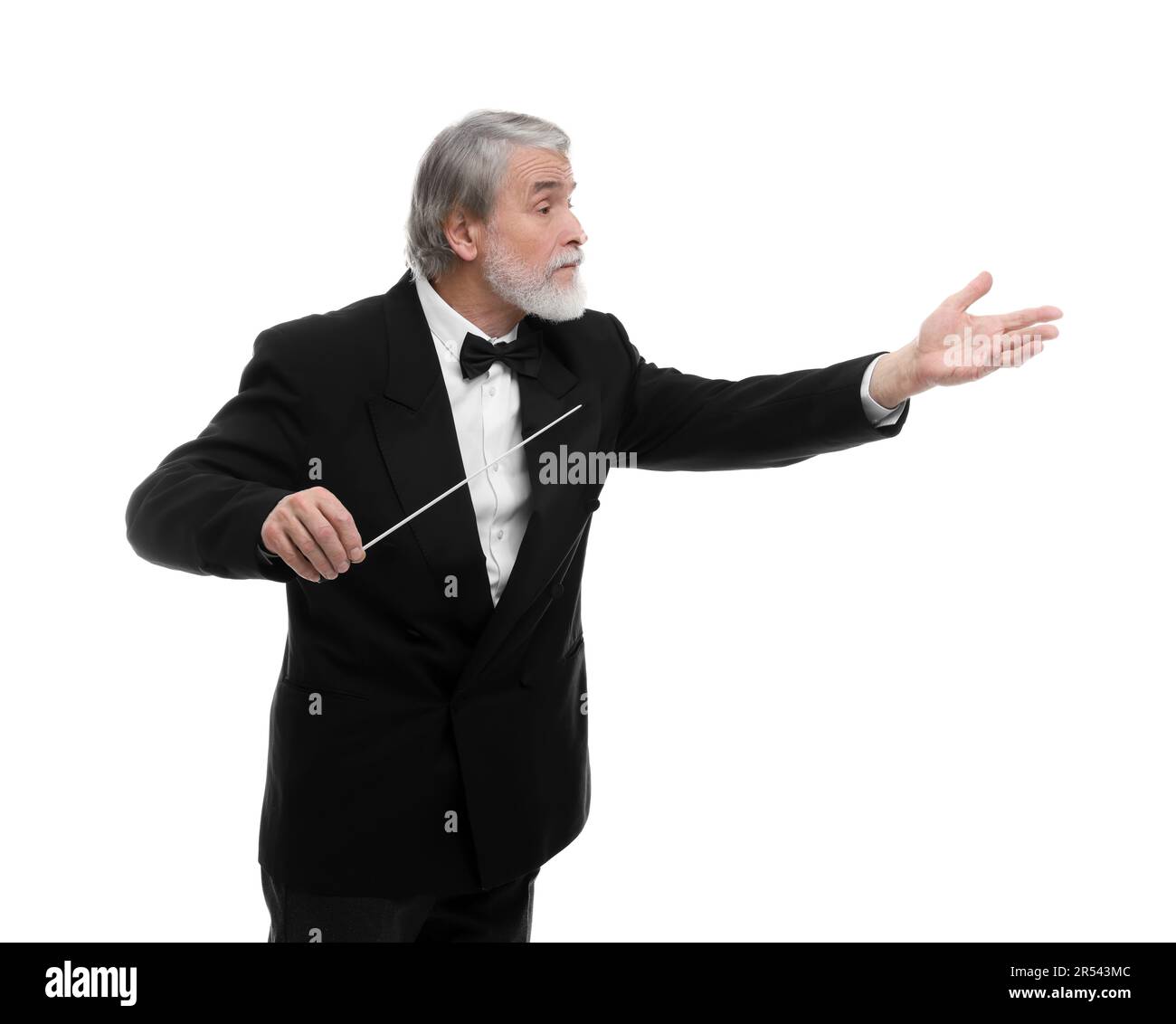 Professional conductor with baton on white background Stock Photo Alamy
