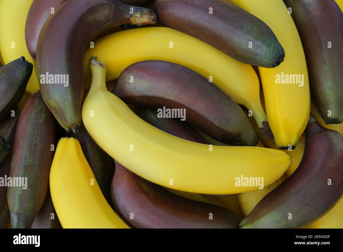 Different types of bananas as background, top view Stock Photo