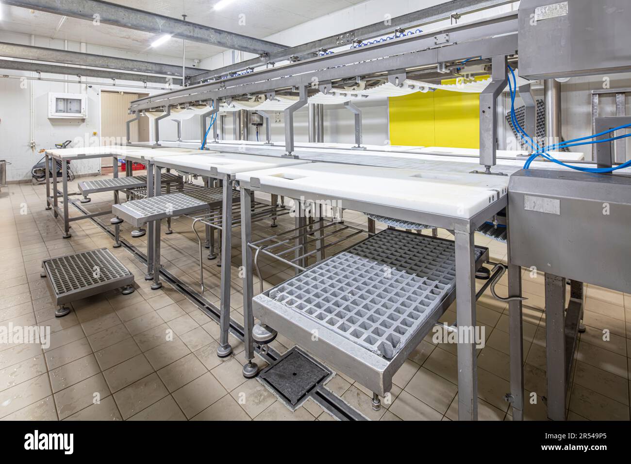 Meat processing machines at meat factory. Cutting meat in