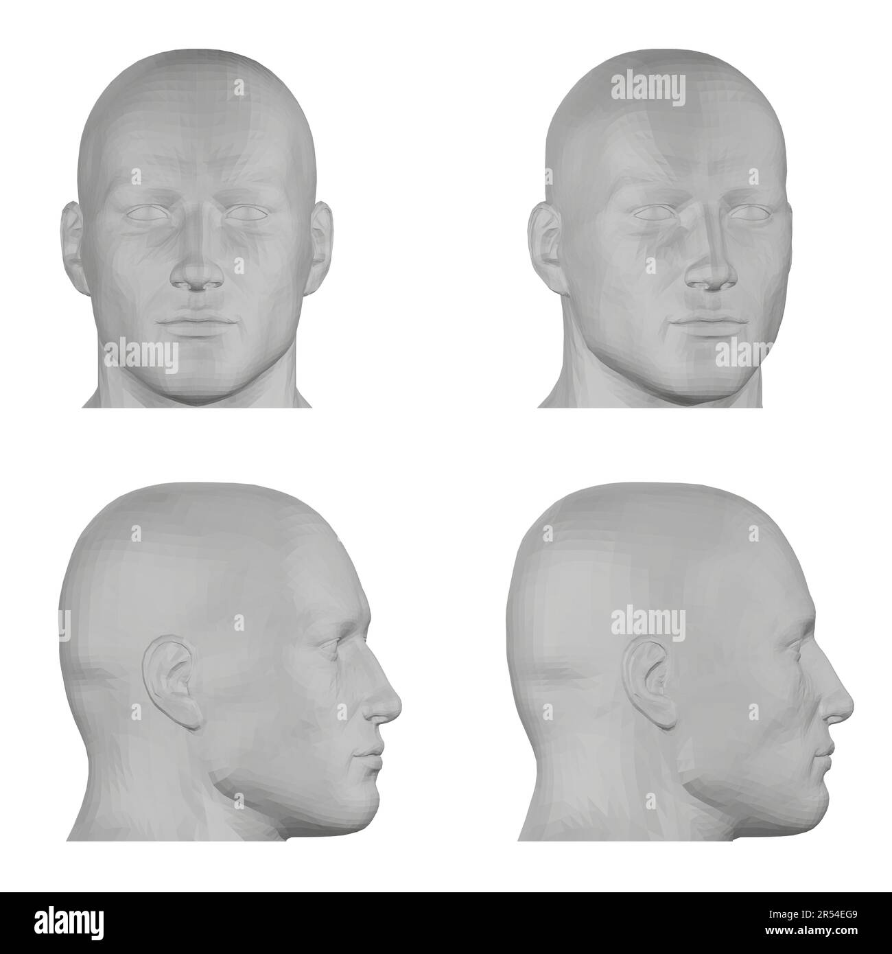 Male Model Side View Head