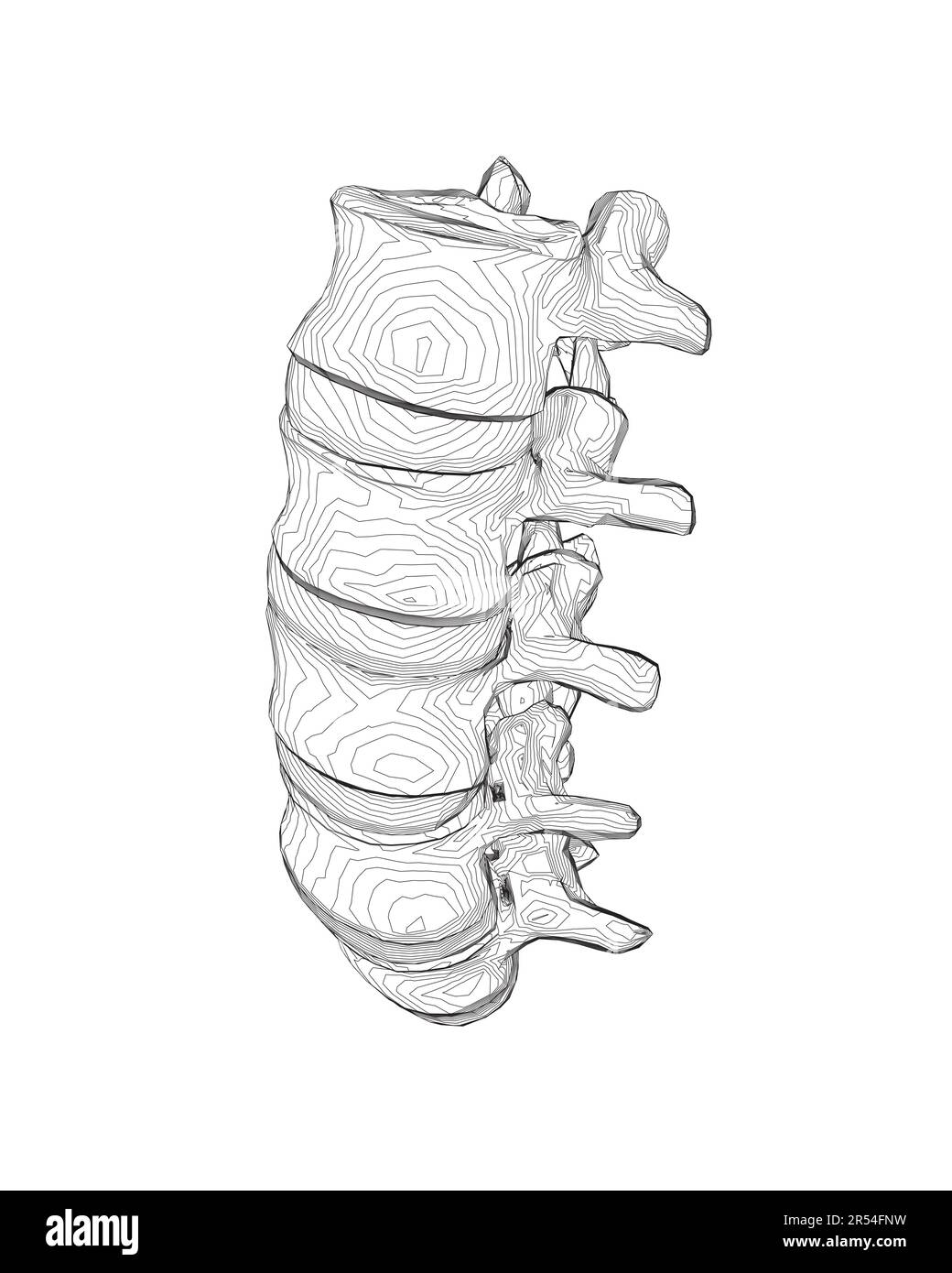 Vector illustration spine diagnostic symbol, design, sign. Vector icon