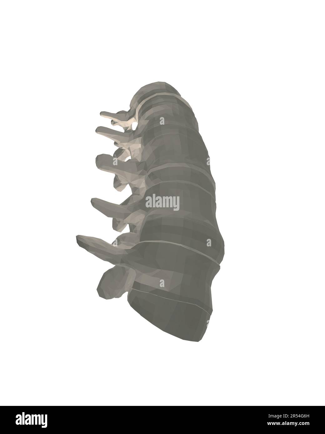 Vector illustration spine diagnostic symbol, design, sign. Vector icon