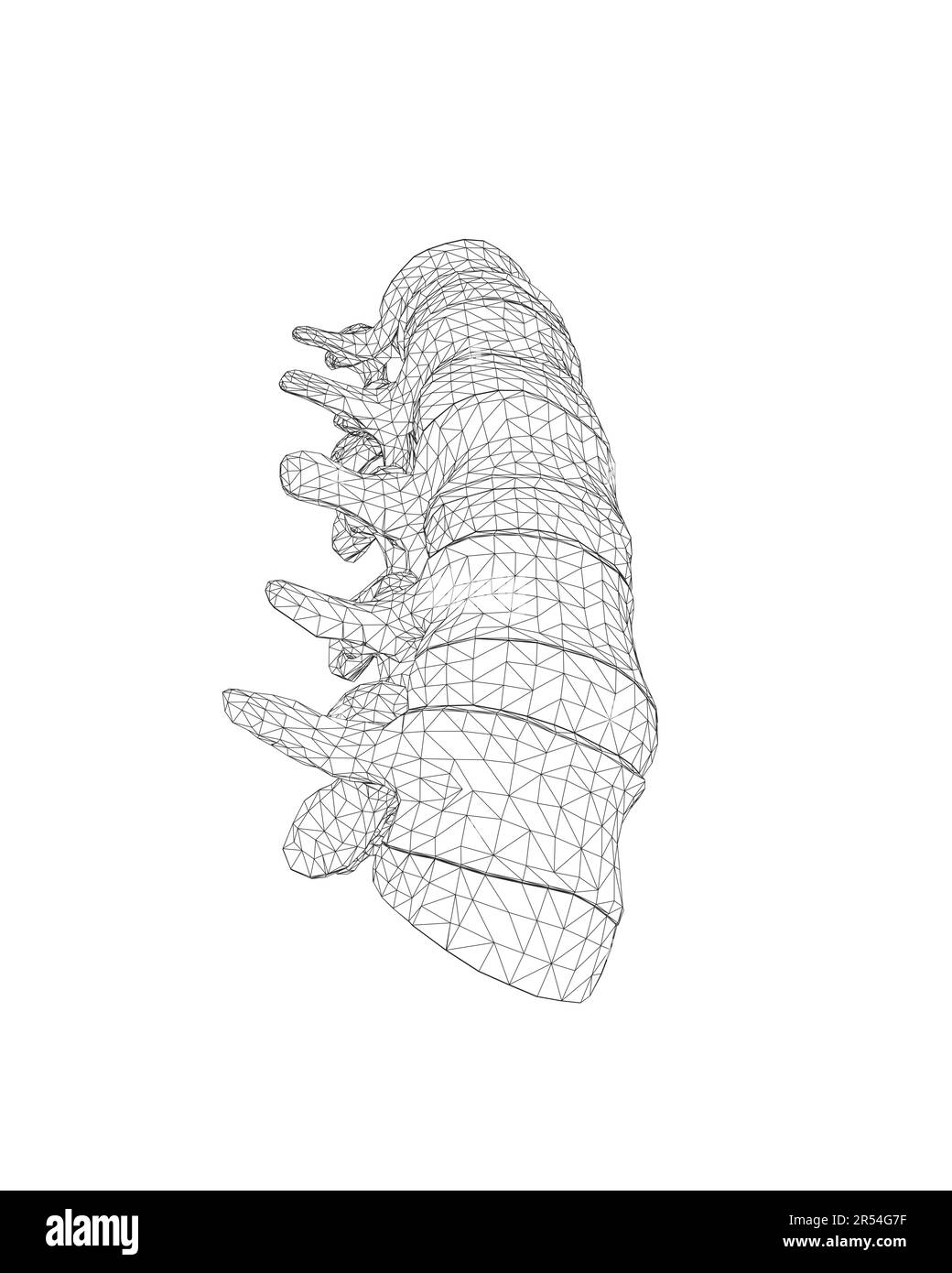 Back concept spine Black and White Stock Photos & Images Alamy