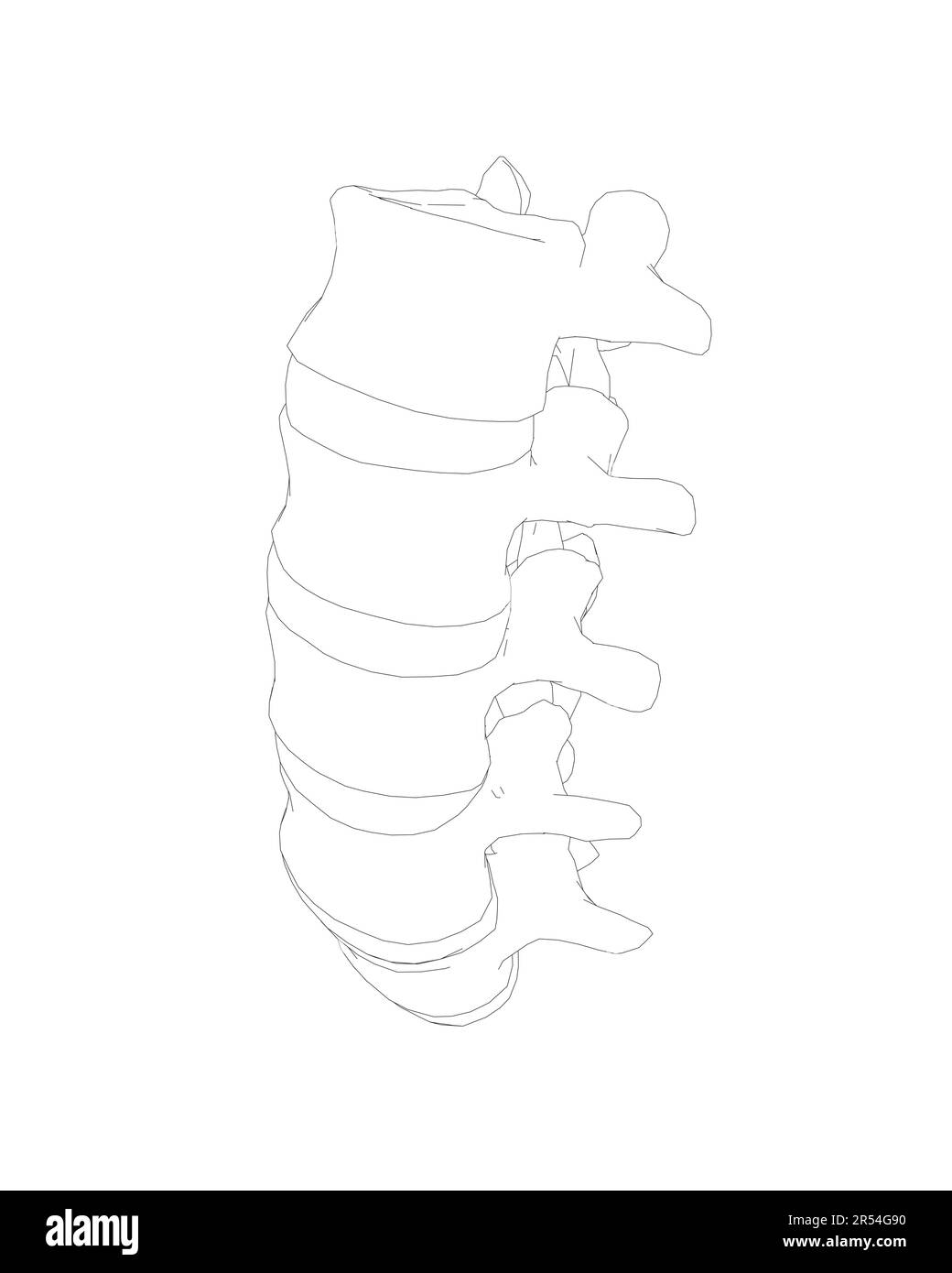 Vector illustration spine diagnostic symbol, design, sign. Vector icon