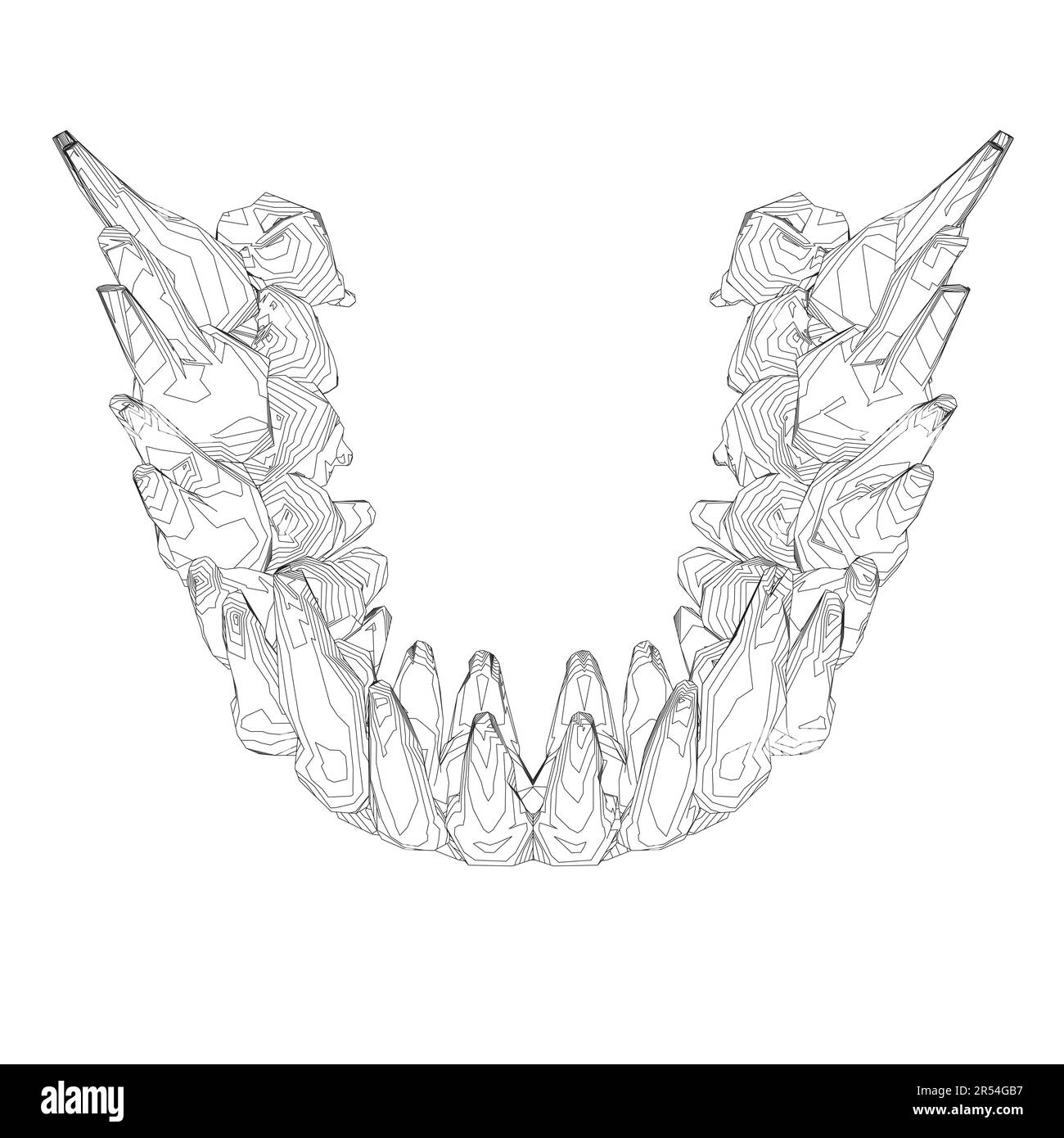 Teeth contour. Hand drawn different types of human tooth collection. Dentist graphic template. Engraving fangs and molars. Dental oral care. Toothache Stock Vector