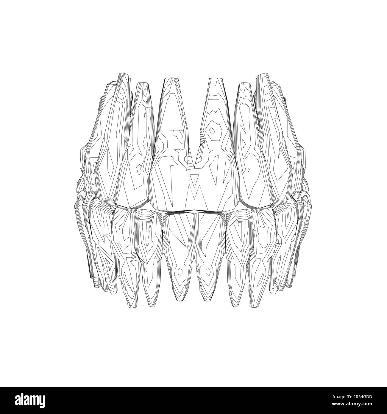 Teeth contour. Hand drawn different types of human tooth collection ...