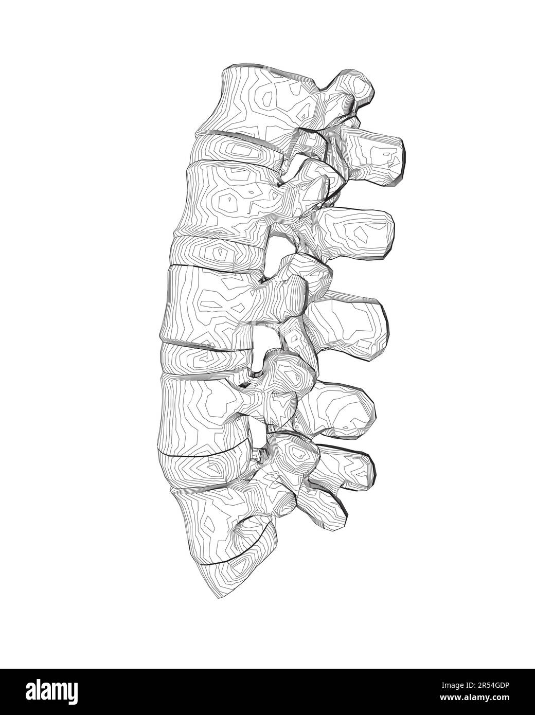 Vector illustration spine diagnostic symbol, design, sign. Vector icon