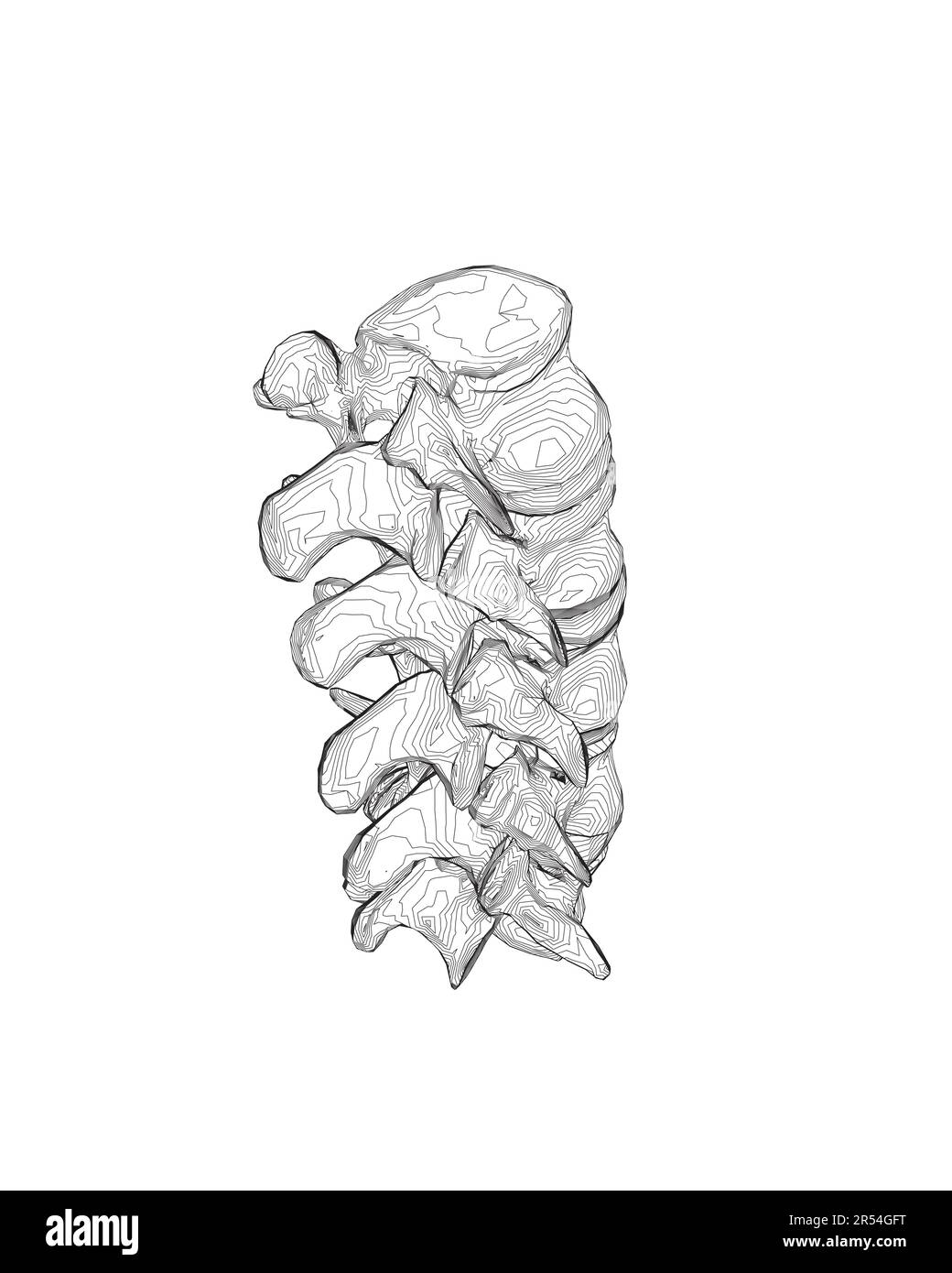 Vector illustration spine diagnostic symbol, design, sign. Vector icon