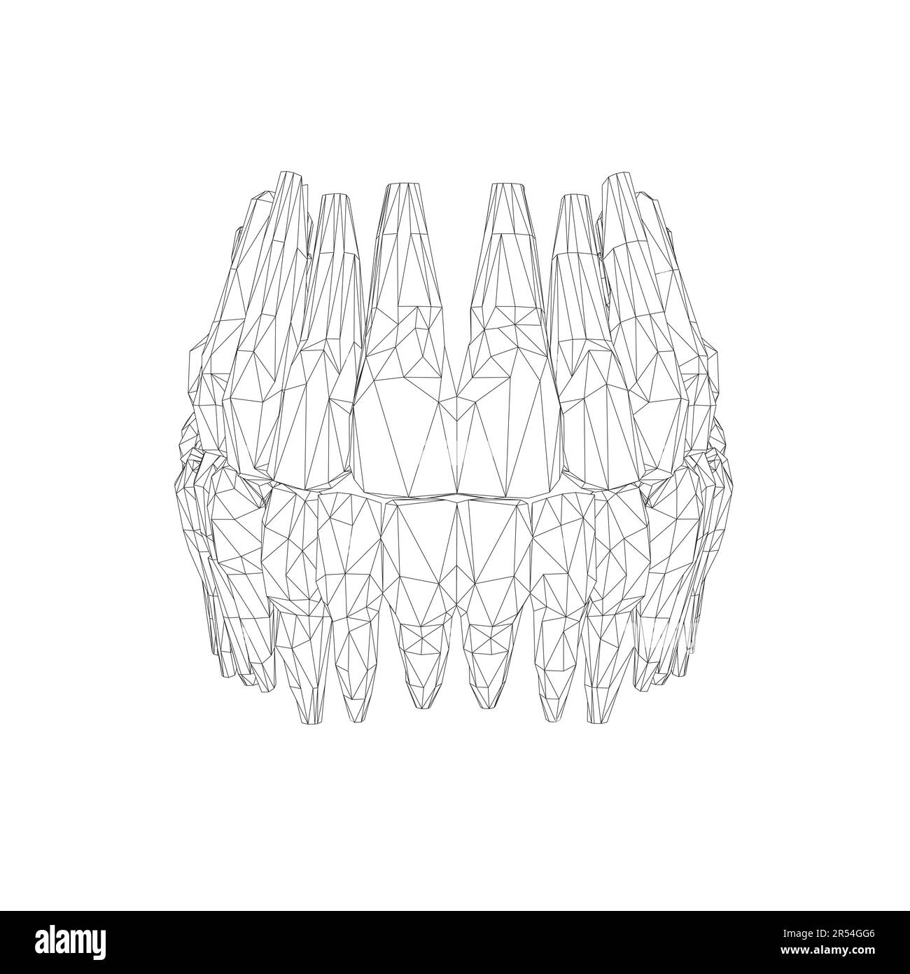 Teeth wireframe. Hand drawn different types of human tooth collection. Dentist graphic template. Engraving fangs and molars. Dental oral care. Toothac Stock Vector
