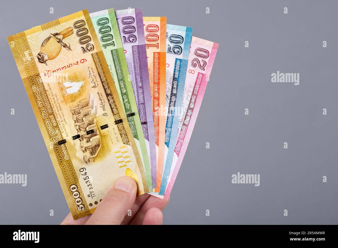 Sri Lankan money rupee in the hand on a gray background Stock Photo