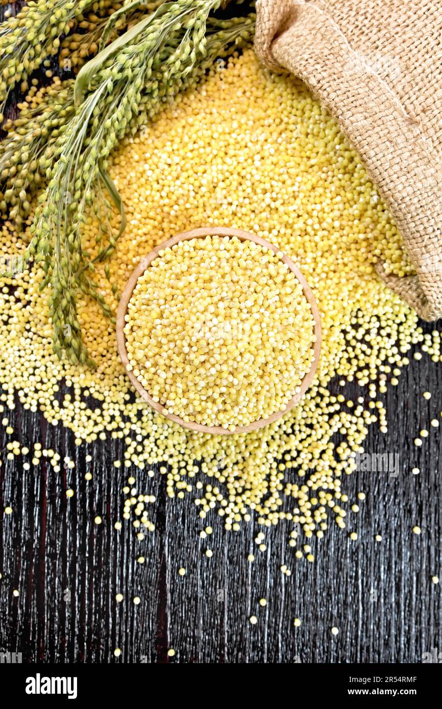 Millet groats in a bowl, on a table and in burlap sack, stalks with ears of millet on background of a wooden board from above Stock Photo