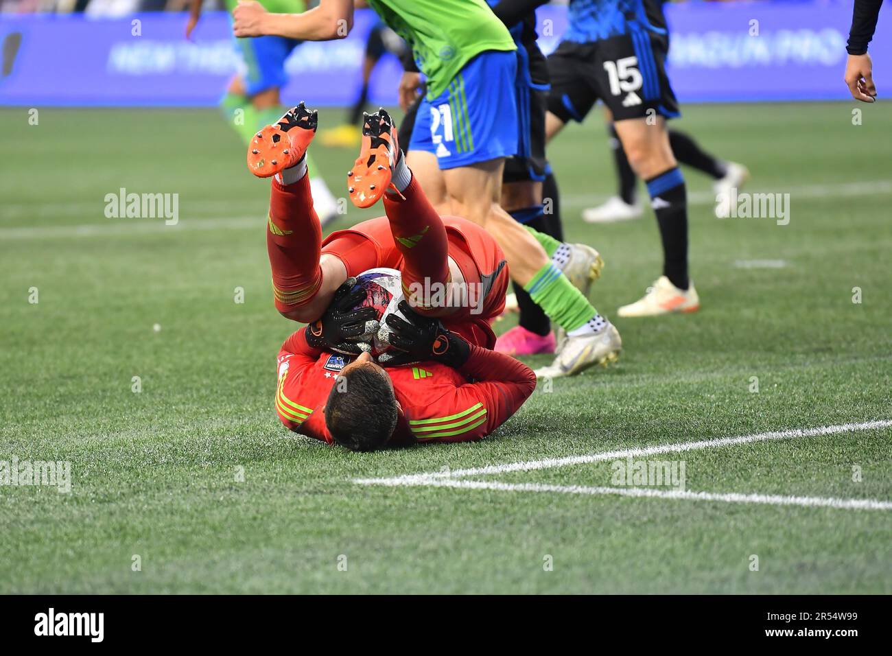 Earthquakes goalie