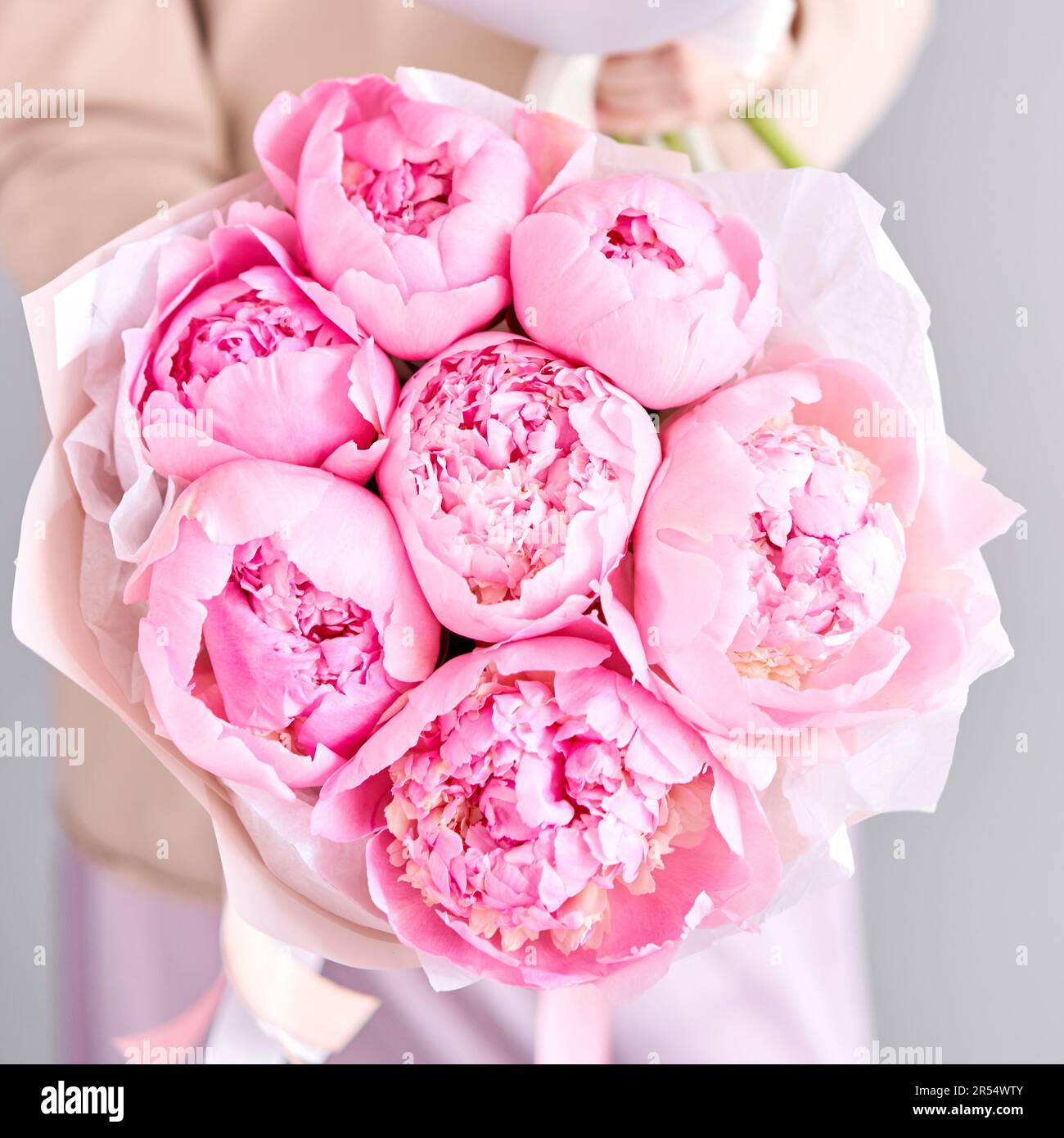 A bouquet of pink peonies in women's hands. Flower delivery. A ...