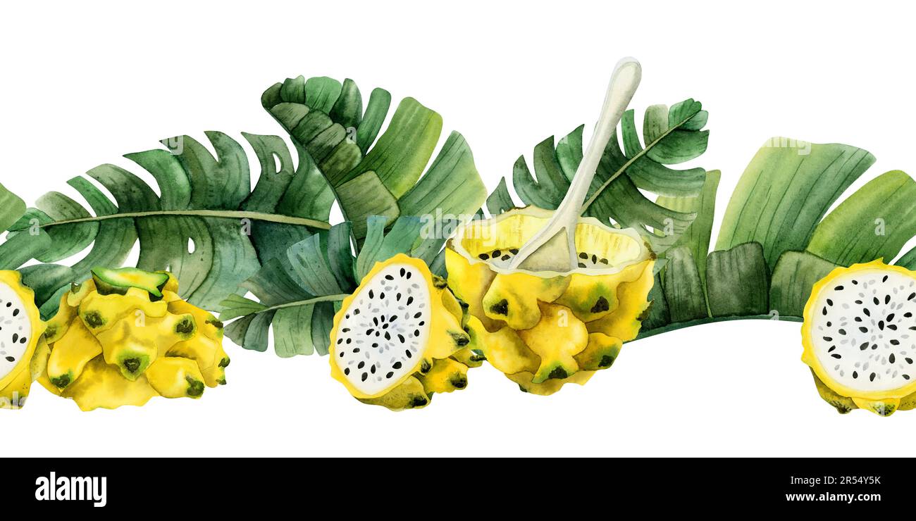 Summer horizontal seamless border with yellow dragon fruit dessert and green tropical palm leaves watercolor banner Stock Photo
