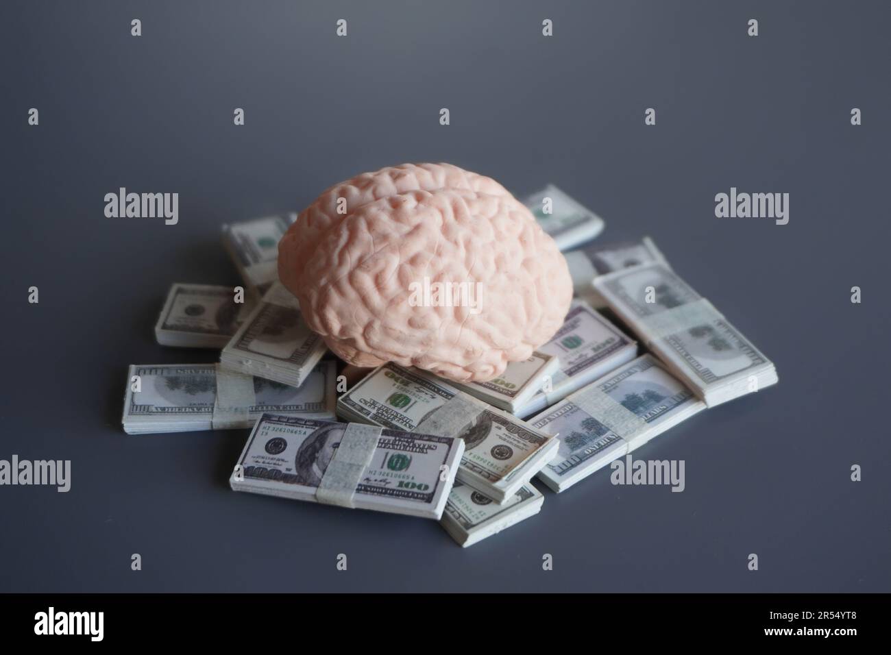 Closeup image of brain and money. Business mindset, investing money in
