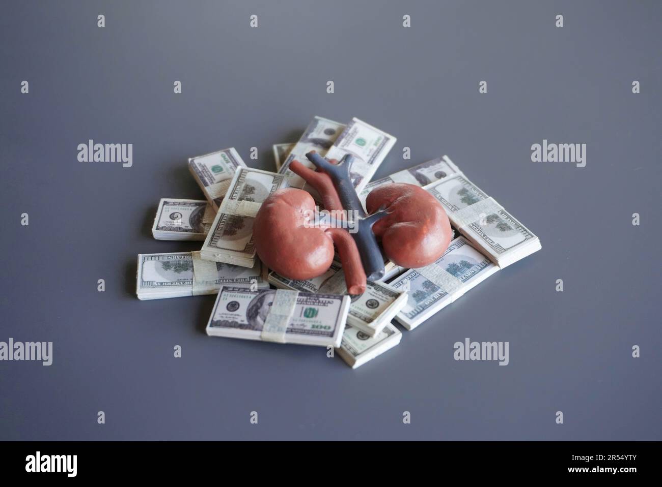Human kidney and money. Buy and sell human organ, healthcare, medical expenses concept Stock