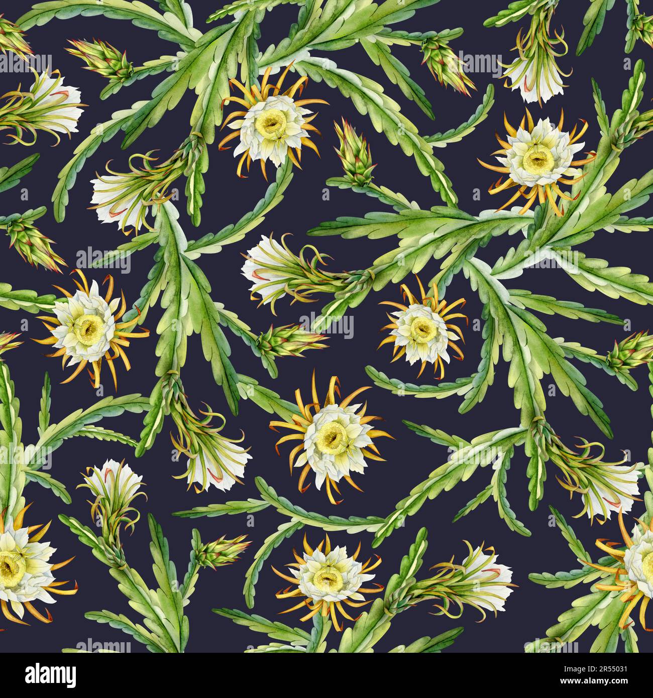 Dark blue and green blooming cactus branches with flowers and buds watercolor seamless pattern. Botanical background Stock Photo