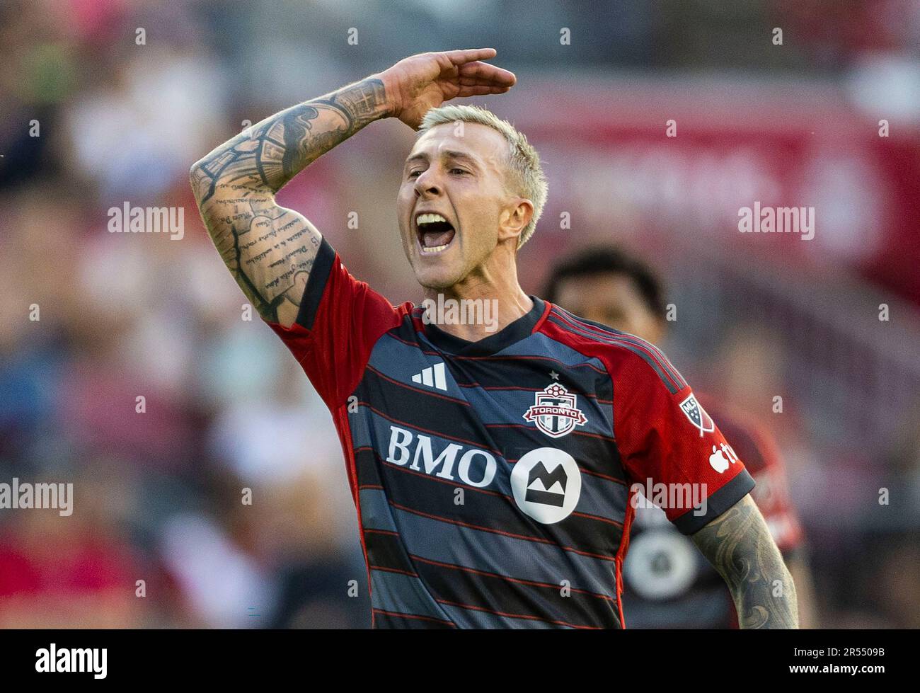 Toronto, Canada. 31st May, 2023. Federico Bernardeschi of Toronto FC reacts during the 2023 Major League Soccer (MLS) match between Toronto FC and Chicago Fire at BMO Field in Toronto, Canada, on May 31, 2023. Credit: Zou Zheng/Xinhua/Alamy Live News Stock Photo
