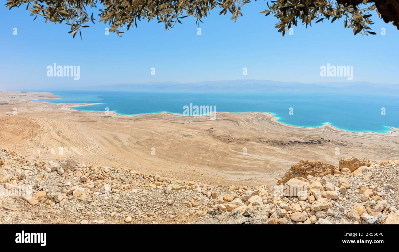 Floating in dead sea jordan hi-res stock photography and images - Alamy