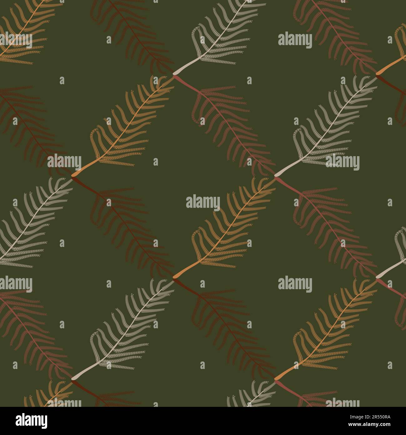 Acacia dealbata leaves seamless pattern. Cosmetic, perfumery and medical plant. Neutral decorative organic floral surface print design.  Stock Vector