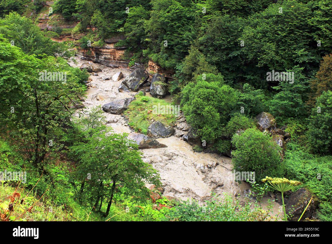Guba Rivers A muddy river in a beautiful canyon. Guba region. Azerbaijan Stock ...