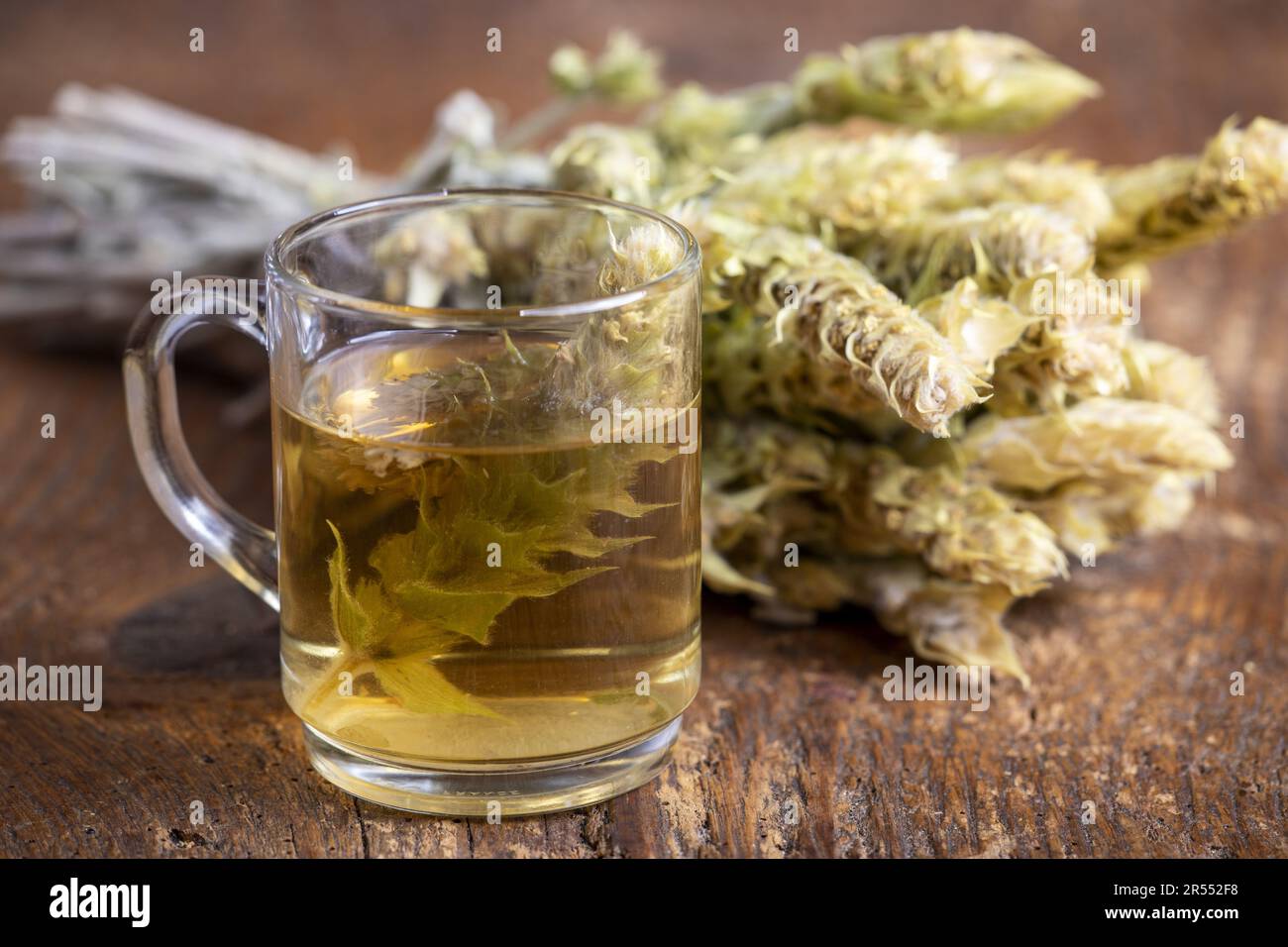 Greek Sideritis Tea On Dark Wood Stock Photo