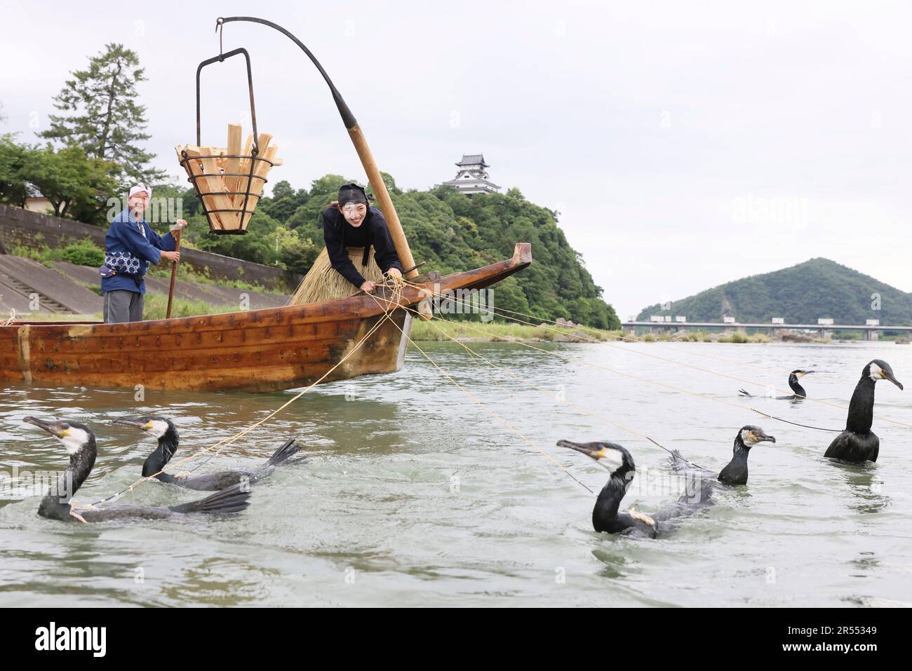 A fisherperson conducts cormorant fishing to catch sweet fish on the