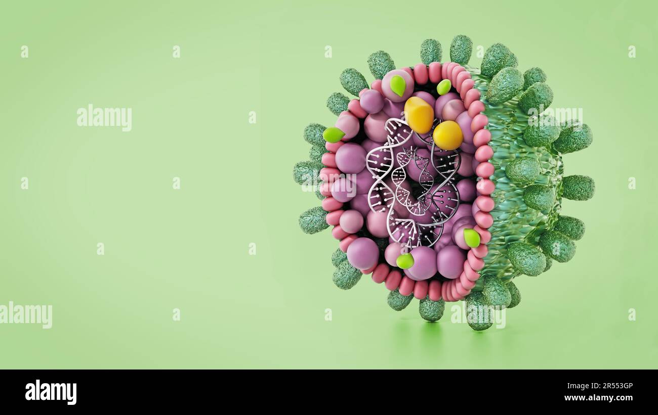Structural detail of Hepatitis B virus isolated on green background. 3D illustration. Stock Photo
