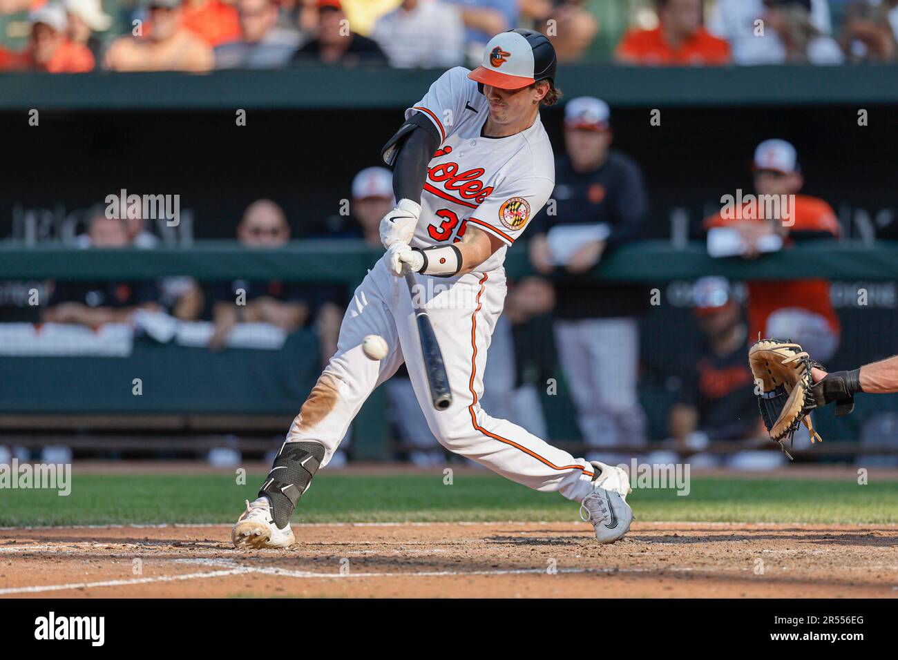 Adley hi-res stock photography and images - Alamy