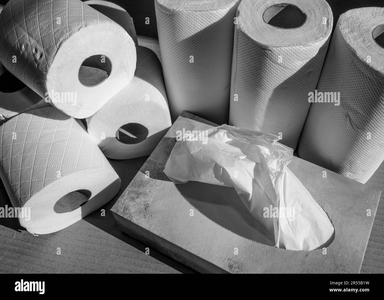 Monochrome image of Household paper products, toilet rolls, kitchen paper and tissues all white and non branded. Responsible pulp and paper operations Stock Photo