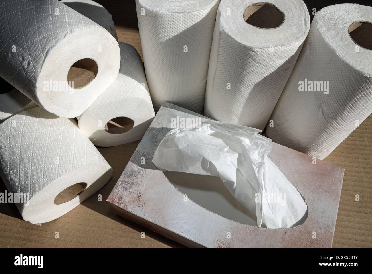 Household paper products, toilet rolls, kitchen paper and tissues all white and non branded. Responsible pulp and paper operations can bring benefits Stock Photo