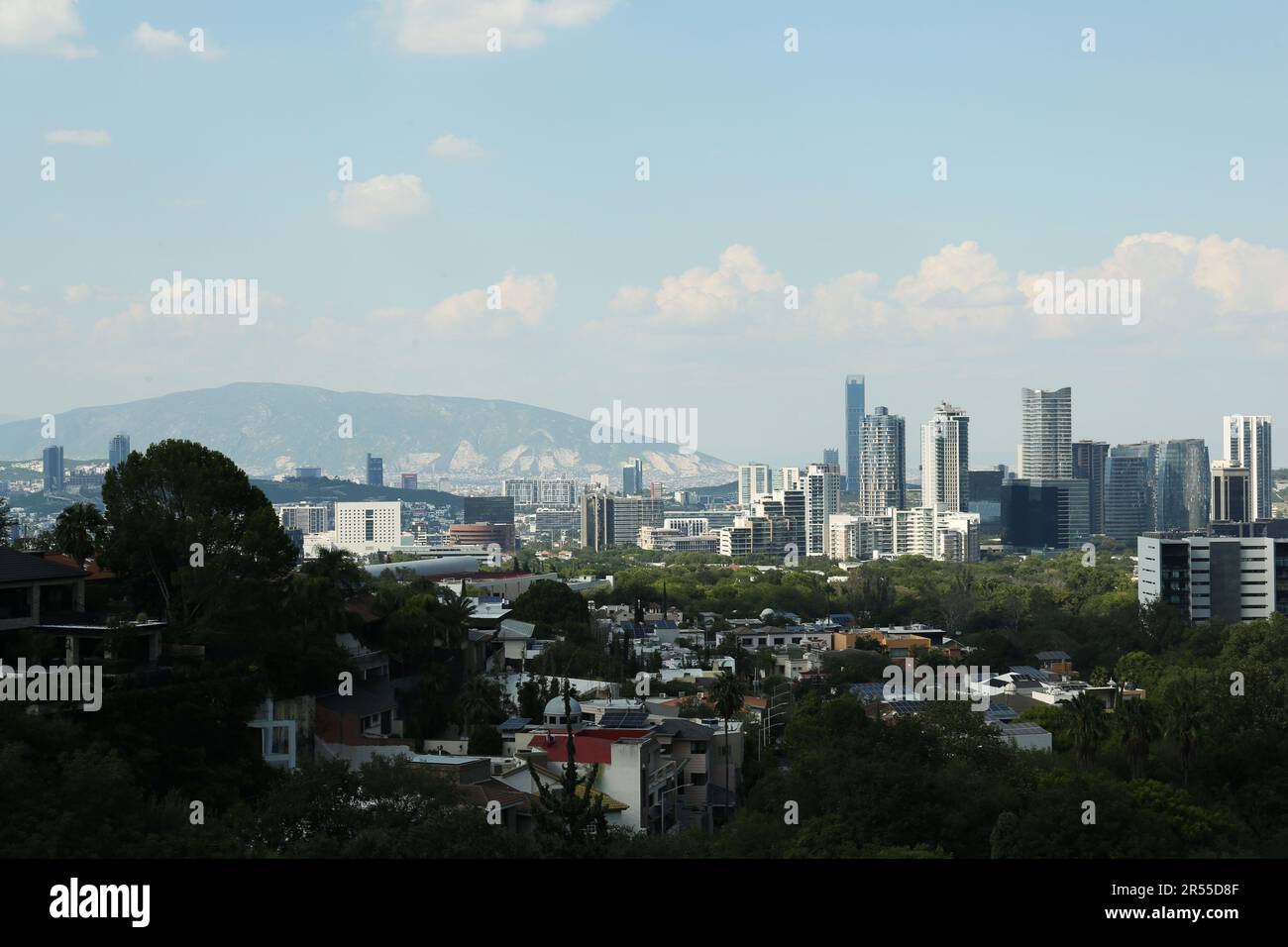 City green trees hi-res stock photography and images - Alamy
