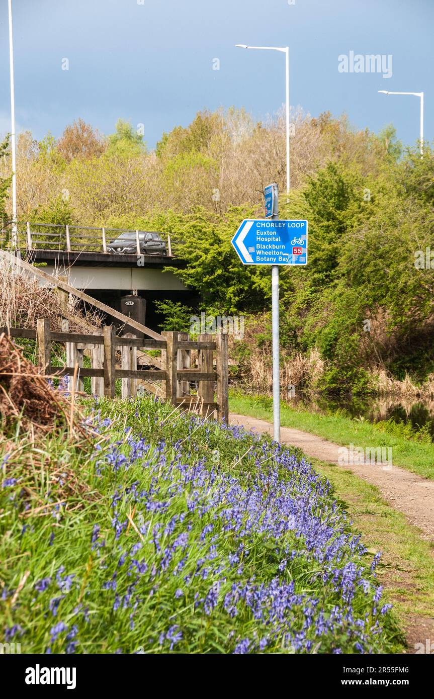 Around the UK - Chorley Loop cycle - Sustrans Route 55 Stock Photo