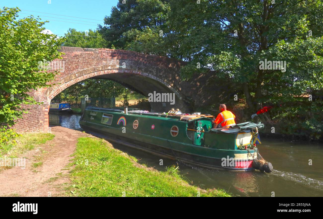 Narrowboat Terbulance cruising along the Bridgewater Canal near Lymm, Cheshire, passing beneath a brick canal bridge on a sunny summer day Stock Photo
