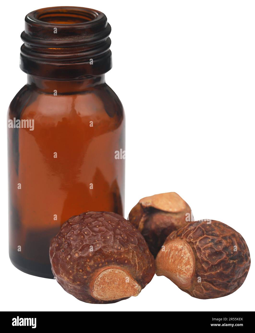 Sapindus mukorossi or Indian soapberry with essential oil in bottle Stock Photo
