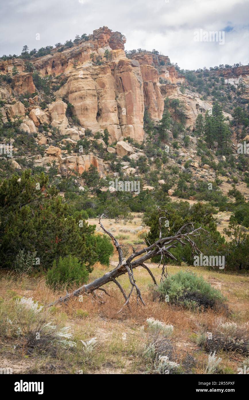 El Malpais National Monument in western New Mexico Stock Photo Alamy