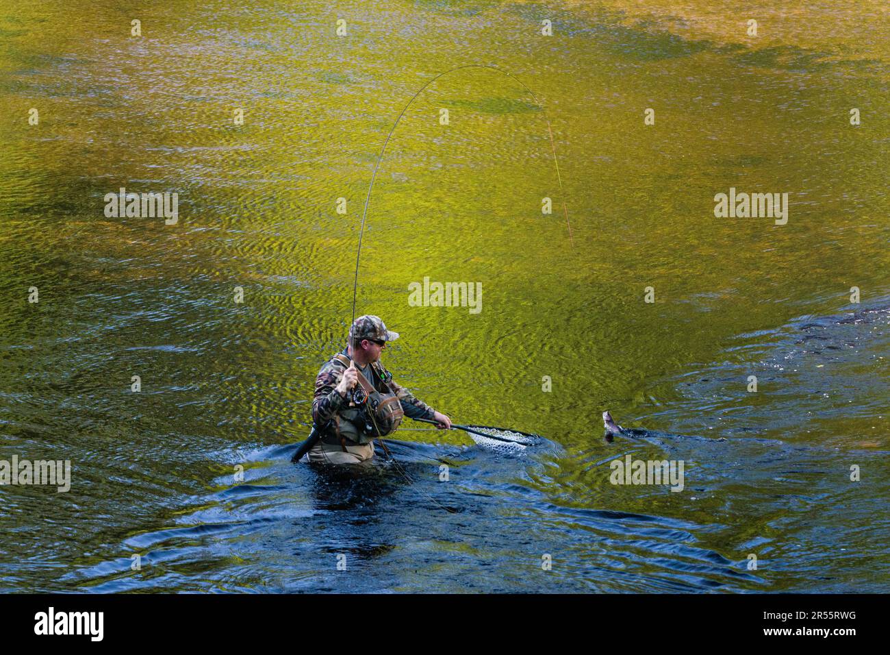 Fly Fisherman on the West Branch of the Farmington River in the American Legion and Peoples State Forests   Barkhamsted, Connecticut, USA Stock Photo
