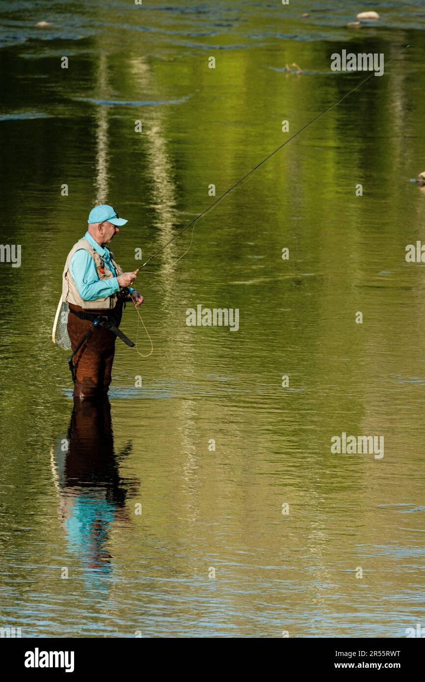 Fly Fisherman on the West Branch of the Farmington River in the American Legion and Peoples State Forests   Barkhamsted, Connecticut, USA Stock Photo