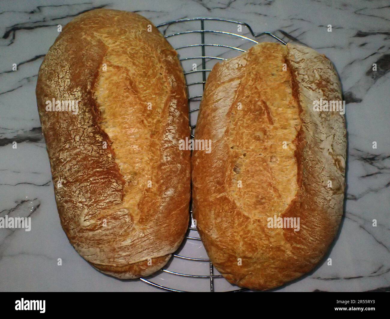 Close up bread beetle hi-res stock photography and images - Alamy