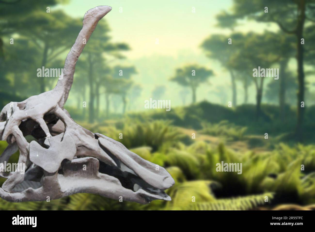 Tsintaosaurus spinorhinus is a genus of hadrosaurid dinosaur from China