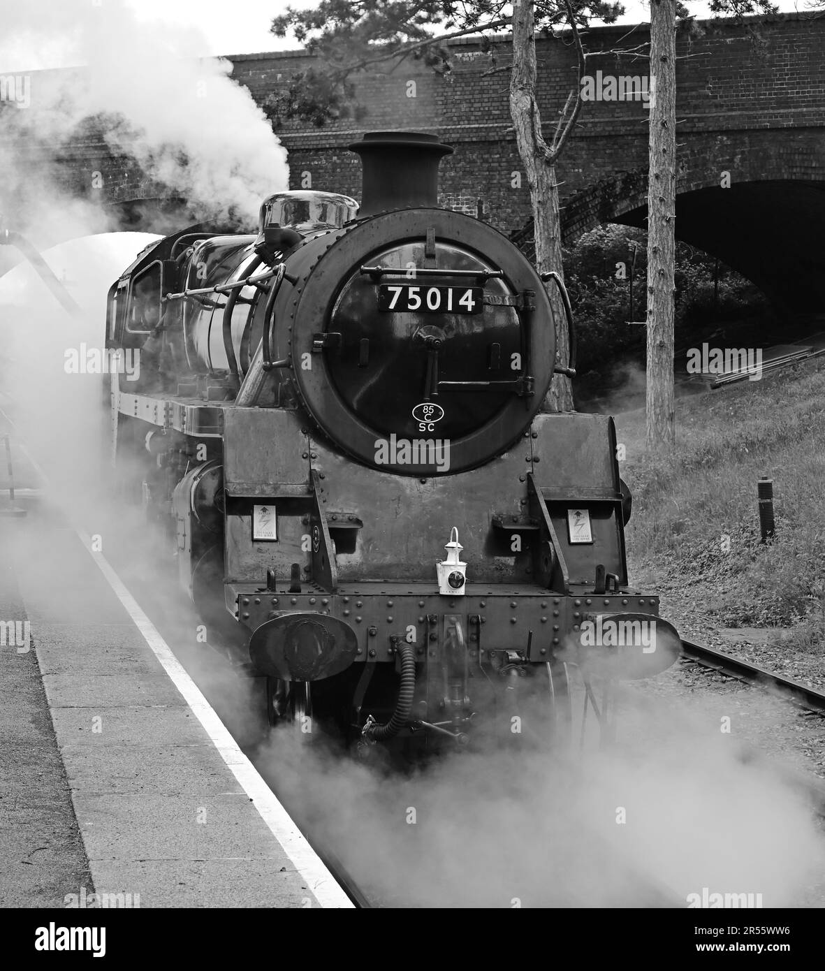 Visiting Br Standard Class 4 No 75014 Braveheart Taking Water At 