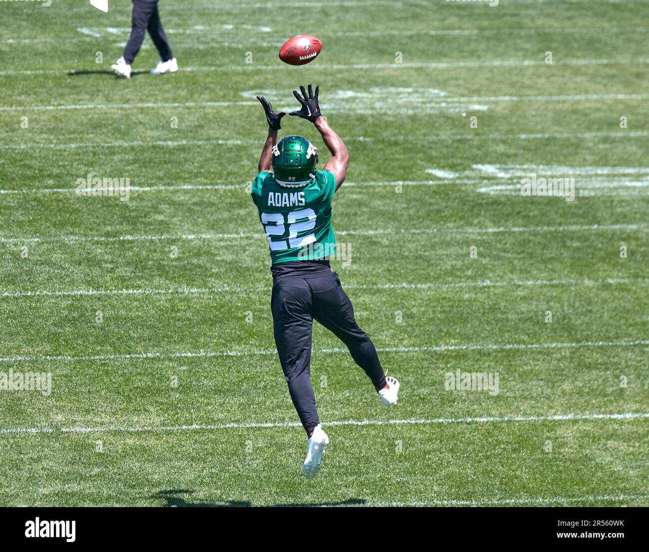 New York Jets safety Tony Adams (22) defends against the Atlanta Falcons  during a preseason NFL football game Monday, Aug. 22, 2022, in East  Rutherford, N.J. (AP Photo/Adam Hunger Stock Photo - Alamy