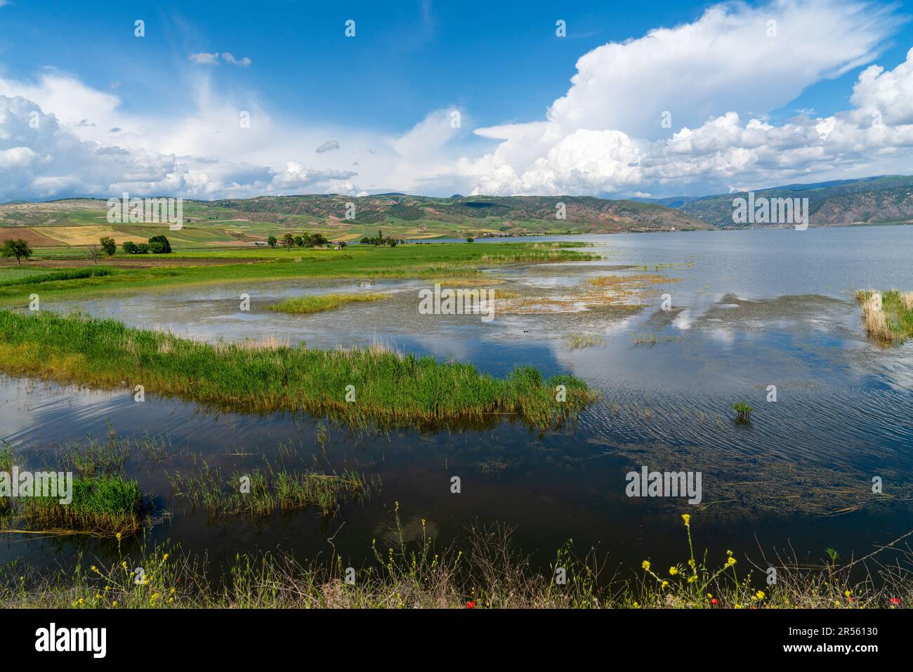 The Red River Kizilirmak In Turkish Once Known As The Halys Around The Red River Kizilirmak In Turkish Once Known As The Halys Around